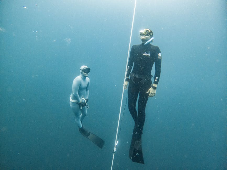 Freedivers practice underwater techniques with safety ropes in Lombok, Indonesia.