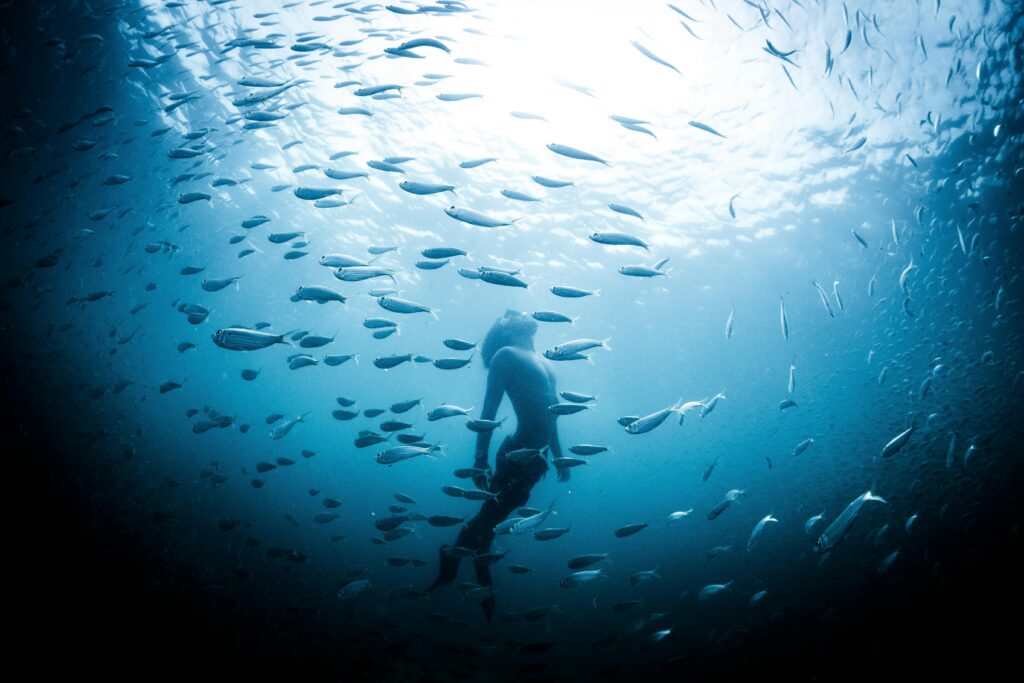 Captivating underwater shot of a diver swimming among fish in clear ocean waters.